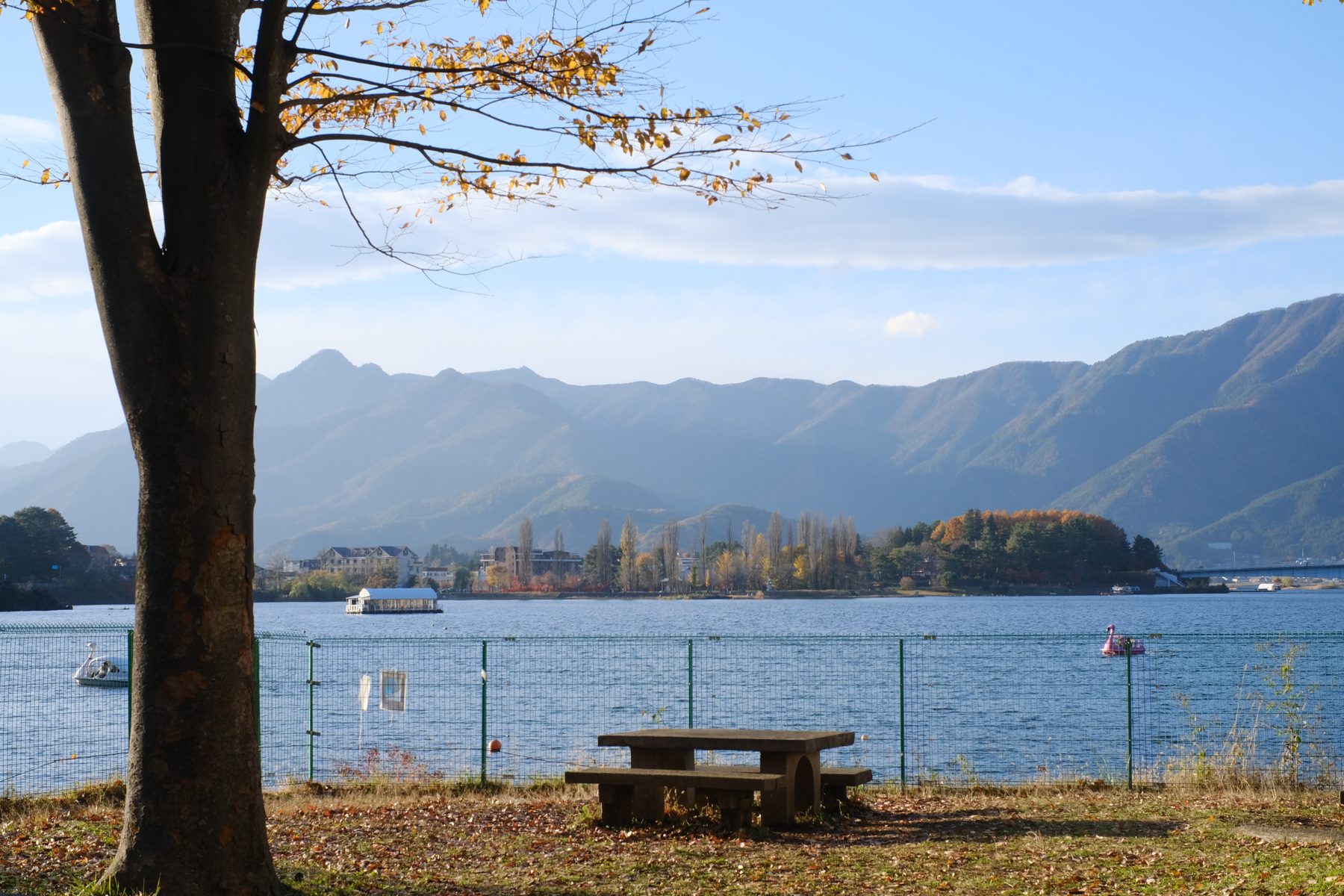 Lake Kawaguchi, November 2024