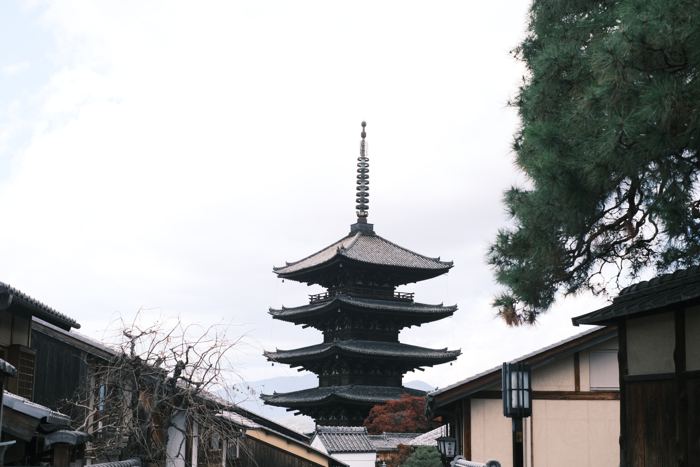 Yasaka Pagoda, Kyoto, November 2024