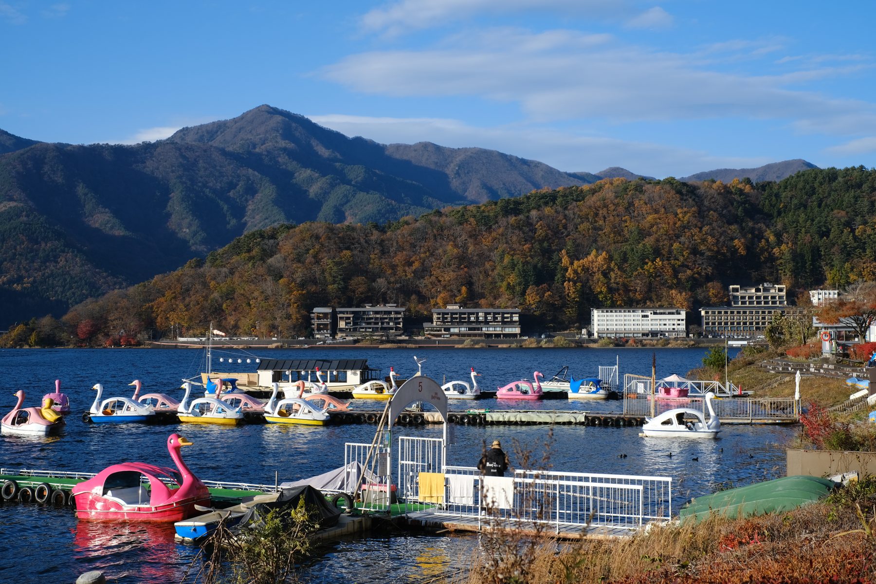 Lake Kawaguchi, November 2024